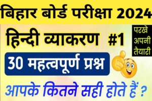 Hindi vyakaran question answer
